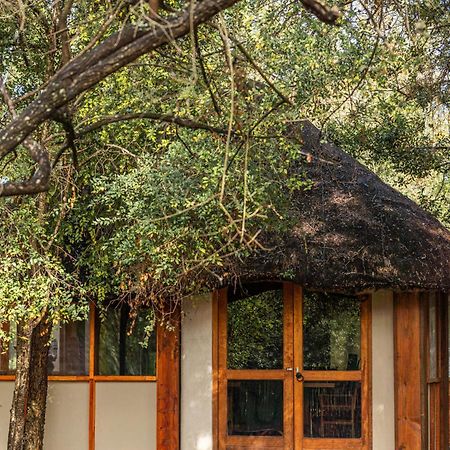 Ndzhaka Tented Camp Manyeleti Game Reserve Exterior photo