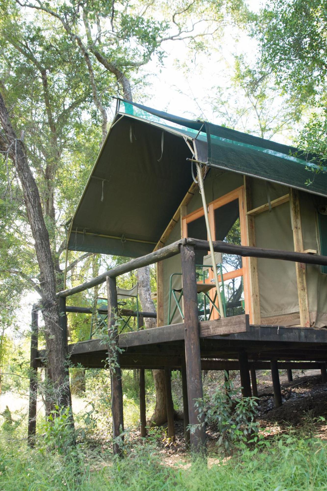 Ndzhaka Tented Camp Manyeleti Game Reserve Room photo
