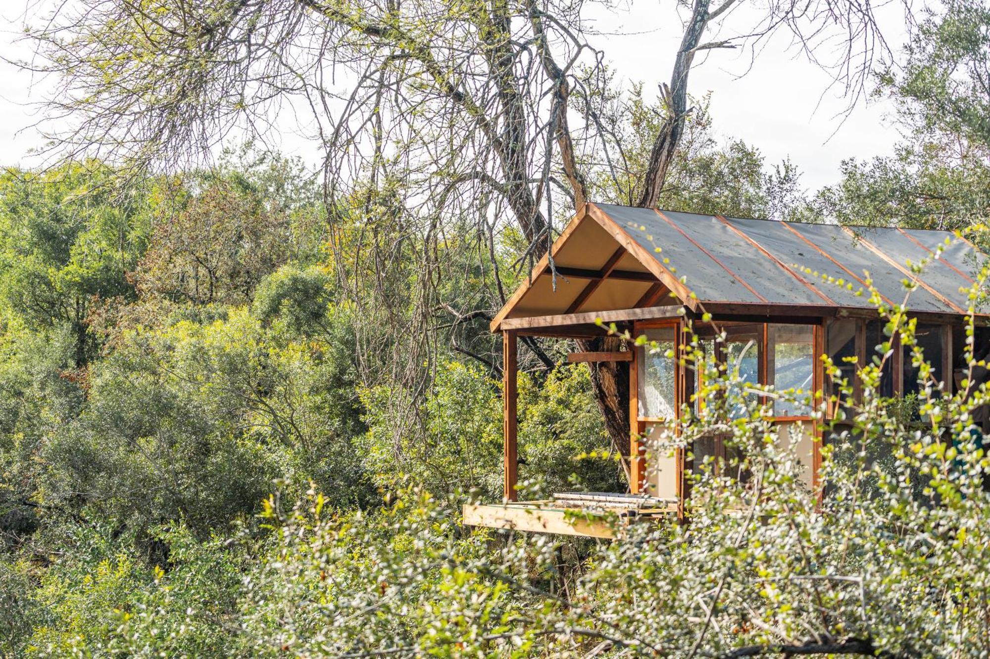 Ndzhaka Tented Camp Manyeleti Game Reserve Exterior photo